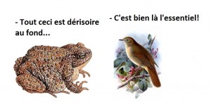 Dérisoire et essentiel